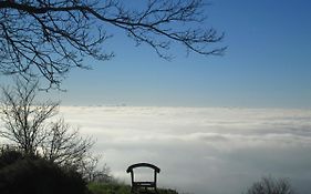 Montalma